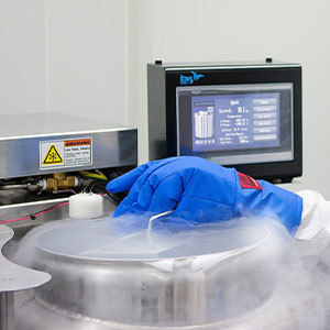 Professional<br />                                         SVF Therapy
